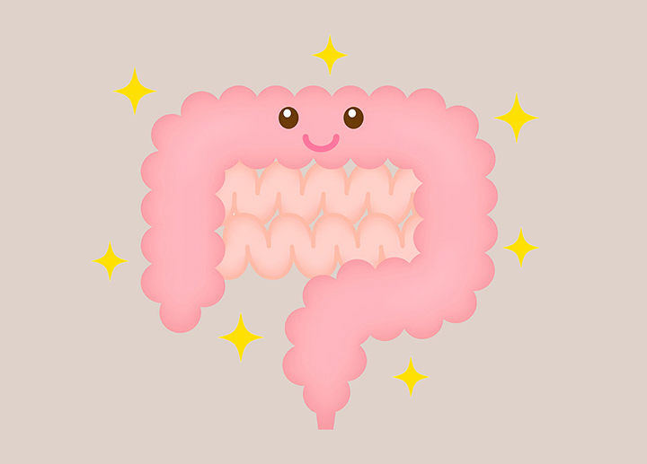 건강한-장의-모습