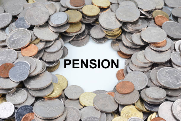 국민연금 지역가입자 기준과 보험료 산정 구조