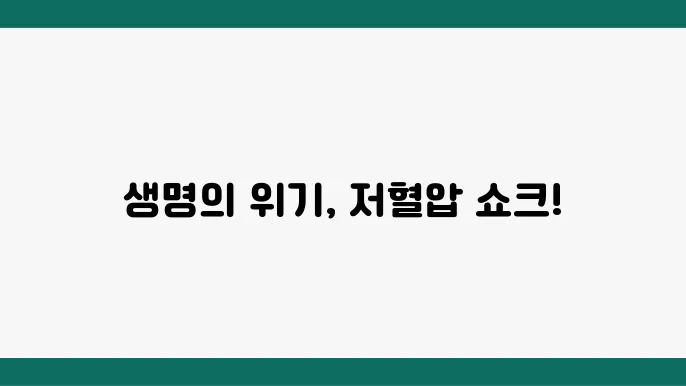 저혈압 쇼크 원인 증상 대처법