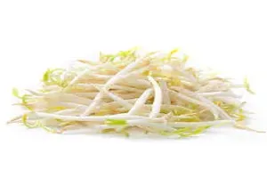 콩나물