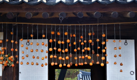 KBS 6시내고향 문경 약돌한우&amp;#44; 외가곶감&amp;#44; 속초횟집&amp;#44; 전통식초 초산정 