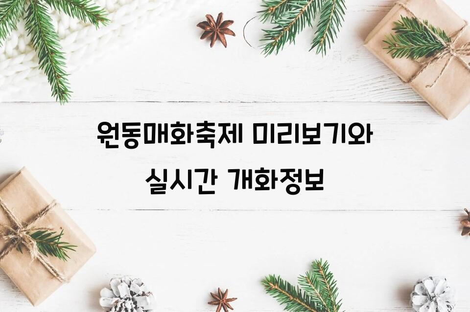 원동매화축제