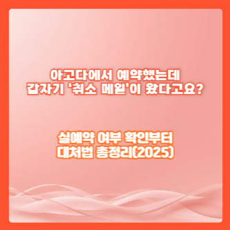 아고다에서 예약했는데 갑자기 &lsquo;취소 메일&rsquo;이 왔다고요?｜실예약 여부 확인부터 대처법 총정리(2025)