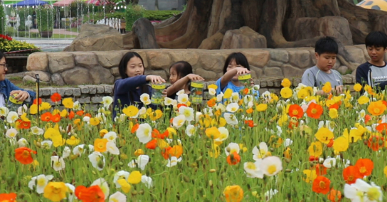 2024 함평 나비축제 예매방법&amp;#44; 입장료&amp;#44; 근처맛집 총 정리