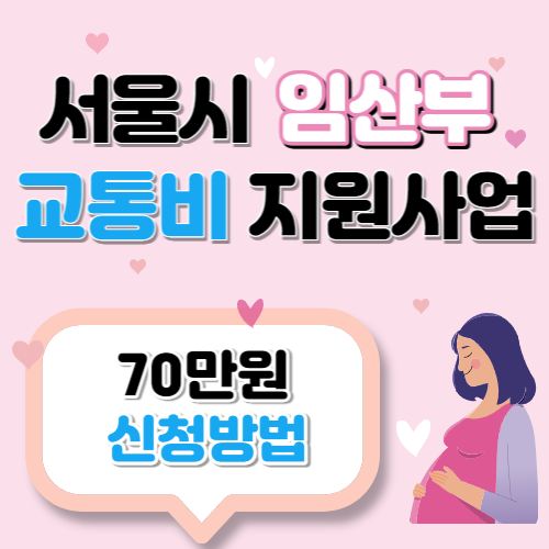 서울시 임산부 교통비지원사업