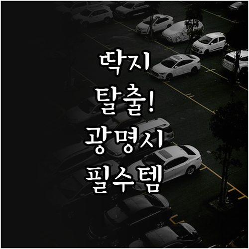 광명시 주정차단속알림 서비스 신청 대..