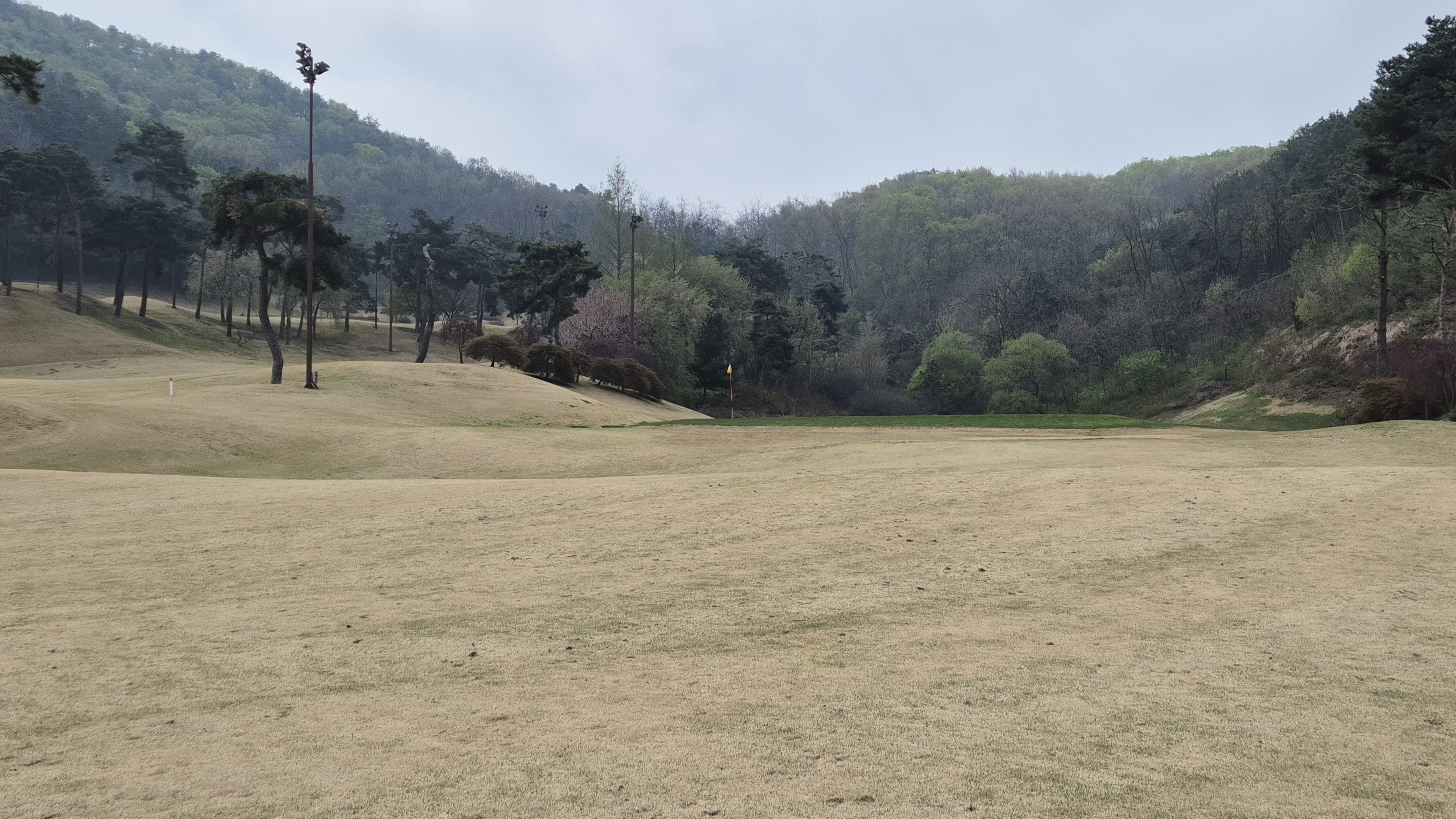 윈체스트gc