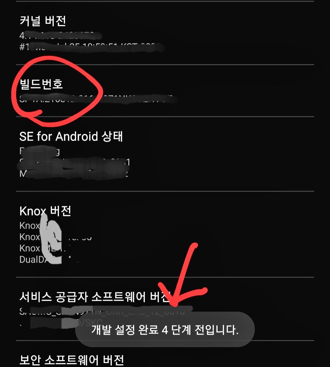개발 설정 완료 단계