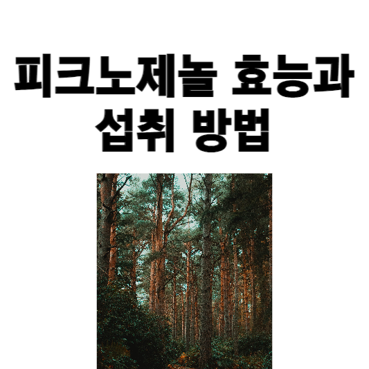 피크노제놀 효능과 섭취 방법