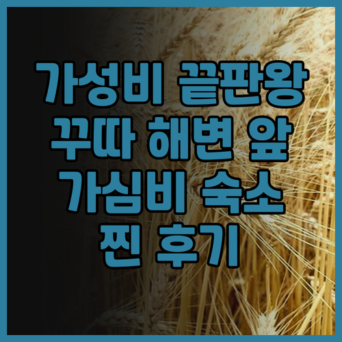 가성비 끝판왕! 나타샤 쿠타 비치 호..