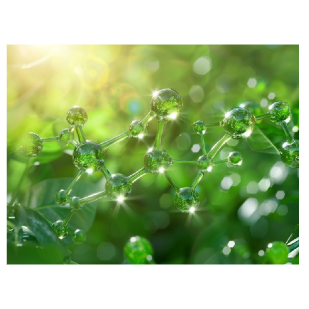 오십견과 관련된 사진입니다.