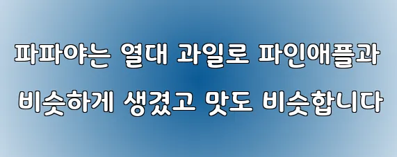 파파야는 열대 과일로 파인애플과 비슷하게 생겼고 맛도 비슷합니다