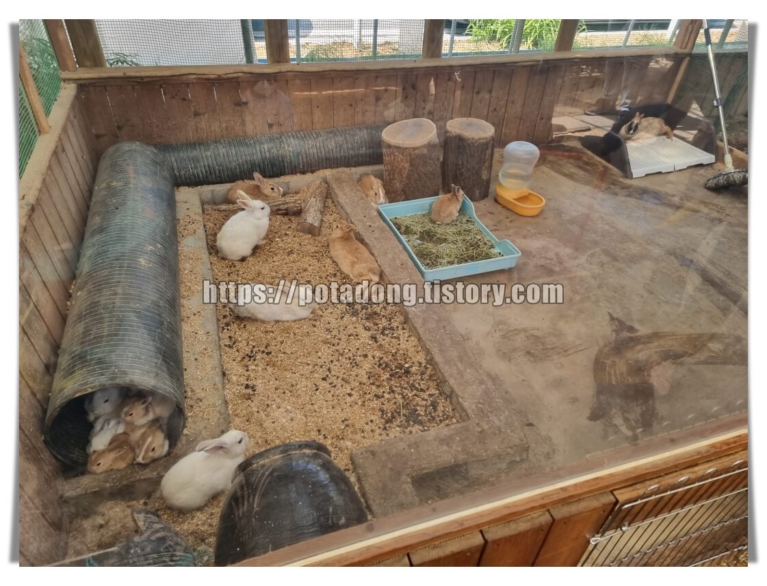 동천자연식물원