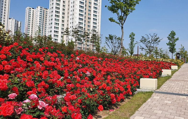 로즈가든-인천시설관리공단 출저