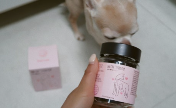 디어랩스 울애기쌩쌩 이너플러스 후기