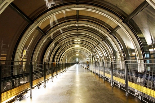 나비고 교통카드