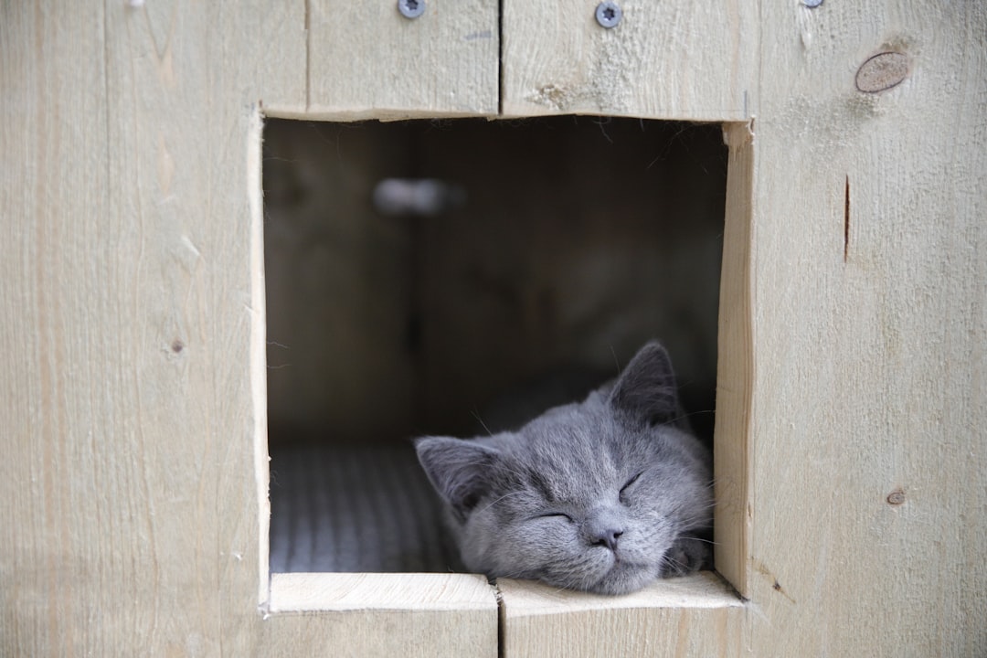 Sleep.