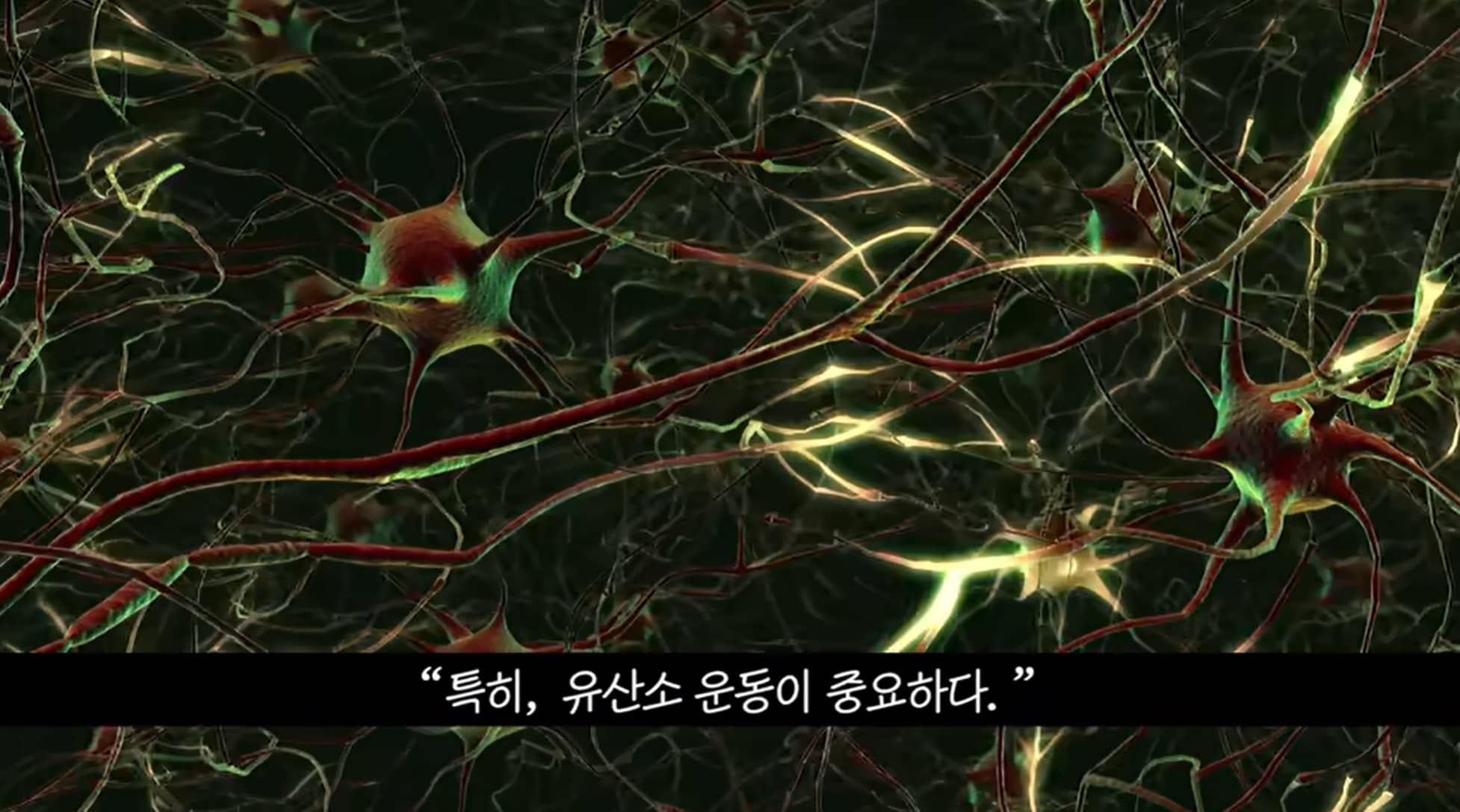 하와이대저택 유산소 운동이 중요하다