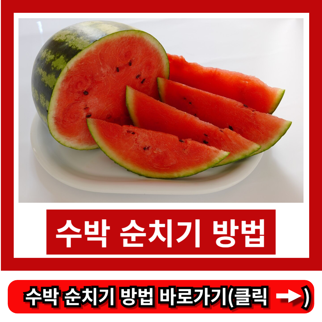 수박 순치기 방법