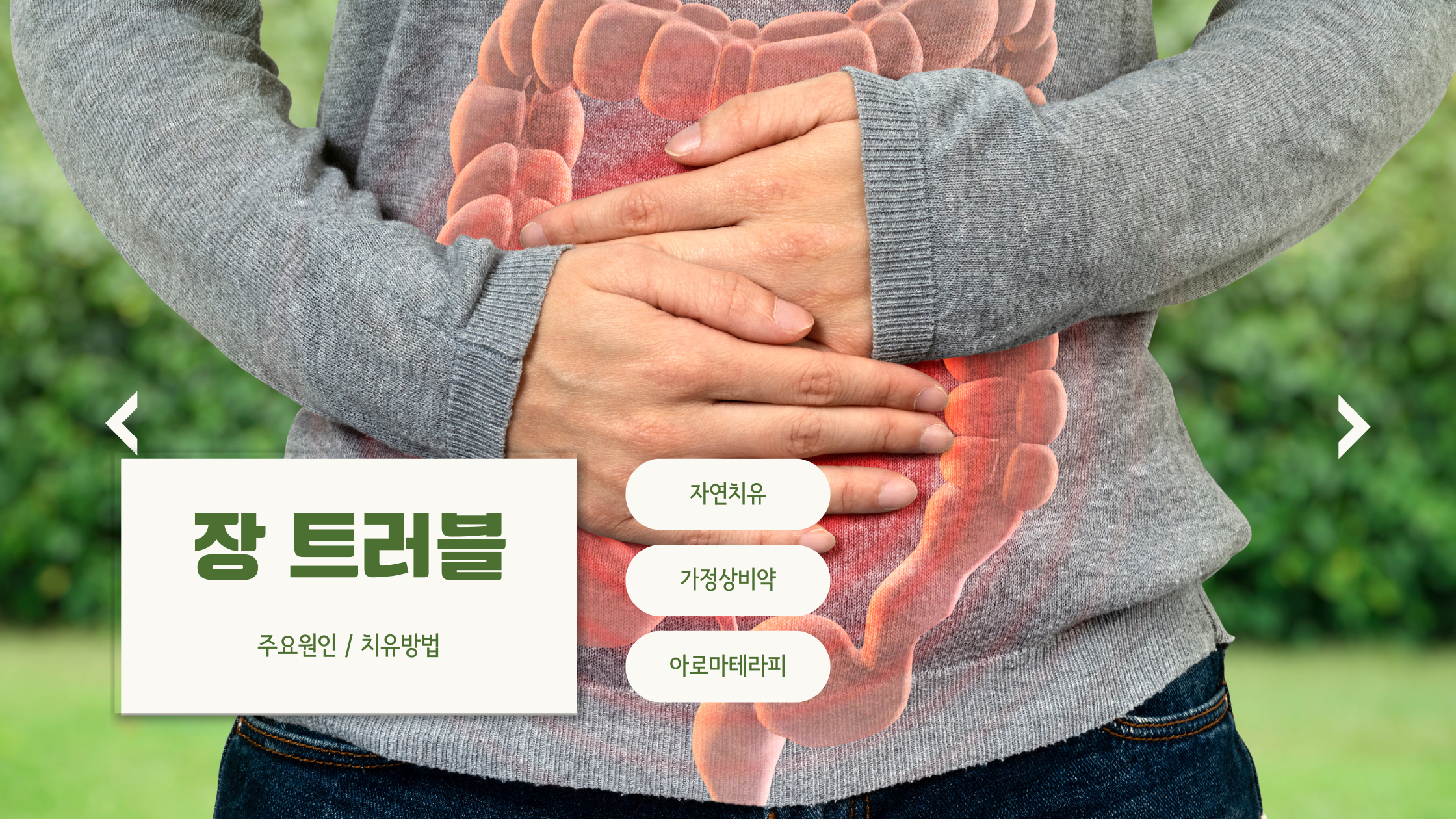 장트러블이 생겼을 때: 자연 치유, 가정 상비약, 그리고 아로마 테라피로 극복하기