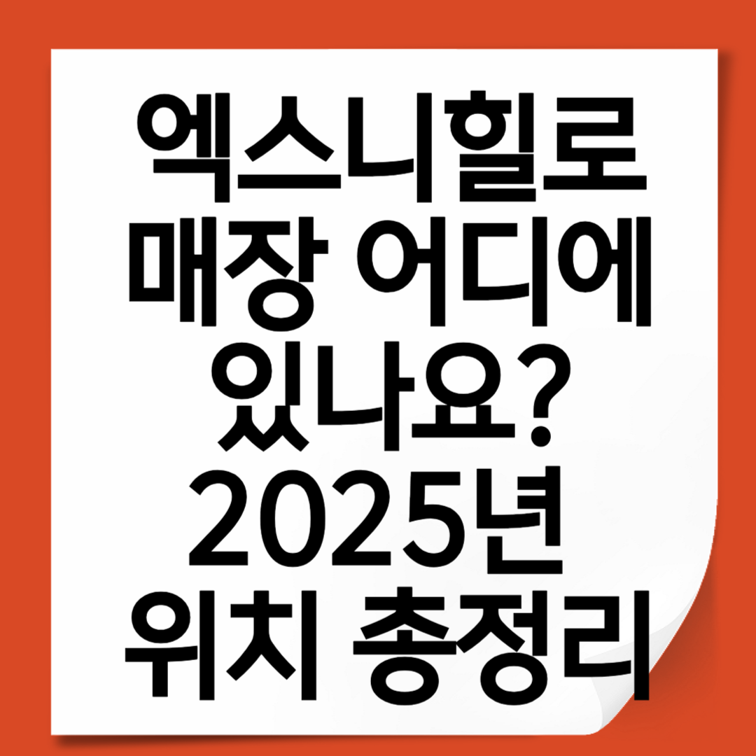 엑스니힐로 매장 어디에 있나요 2025년 위치 총정리