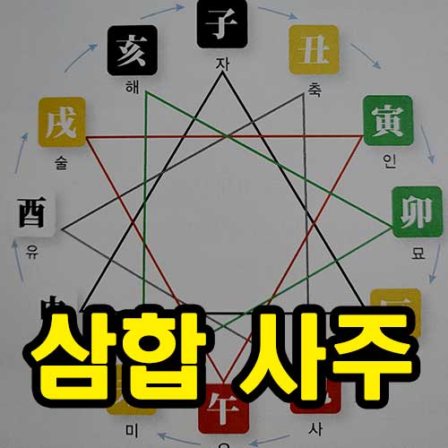 삼합 사주 썸네일