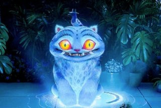 매기 강 감독 작품 활동