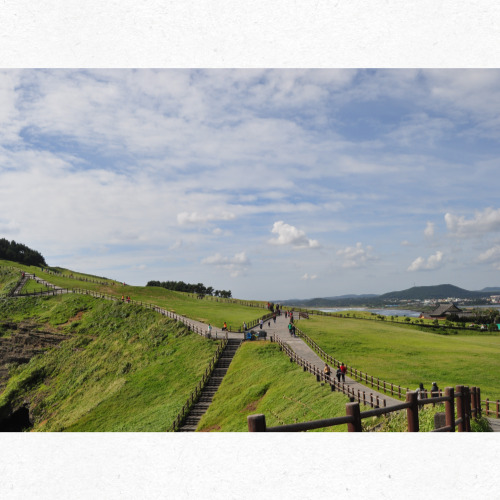 제주도 여름 여행 풍경