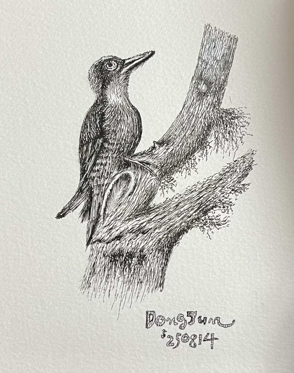 펜 드로잉 나무 질감 표현