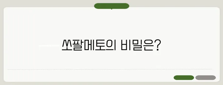 쏘팔메토 효능 전립선 건강에 정말 좋을까