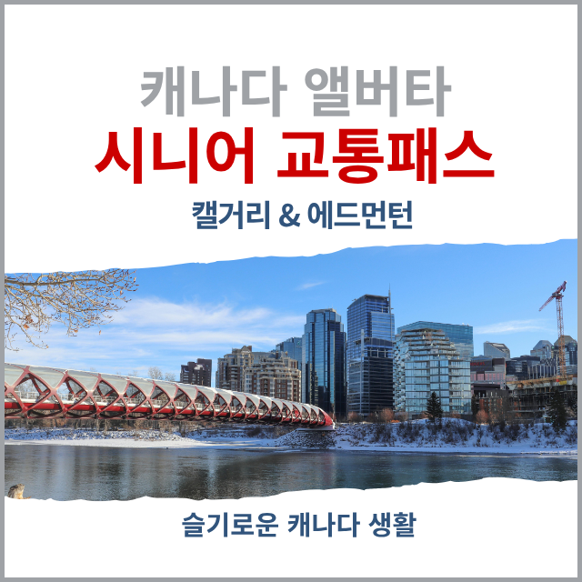 캐나다 알버타 시니어 교통패스