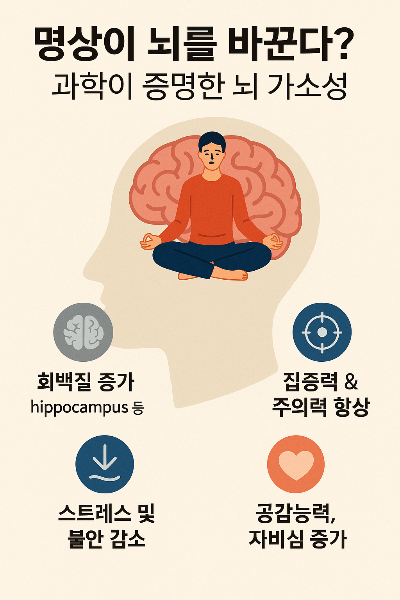 명상이 뇌를 바꾼다. 과학이 증명한 뇌 가소성 포스터 이미지