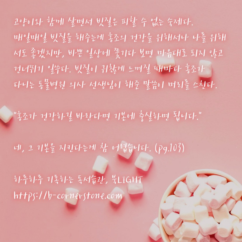 민정원홍조