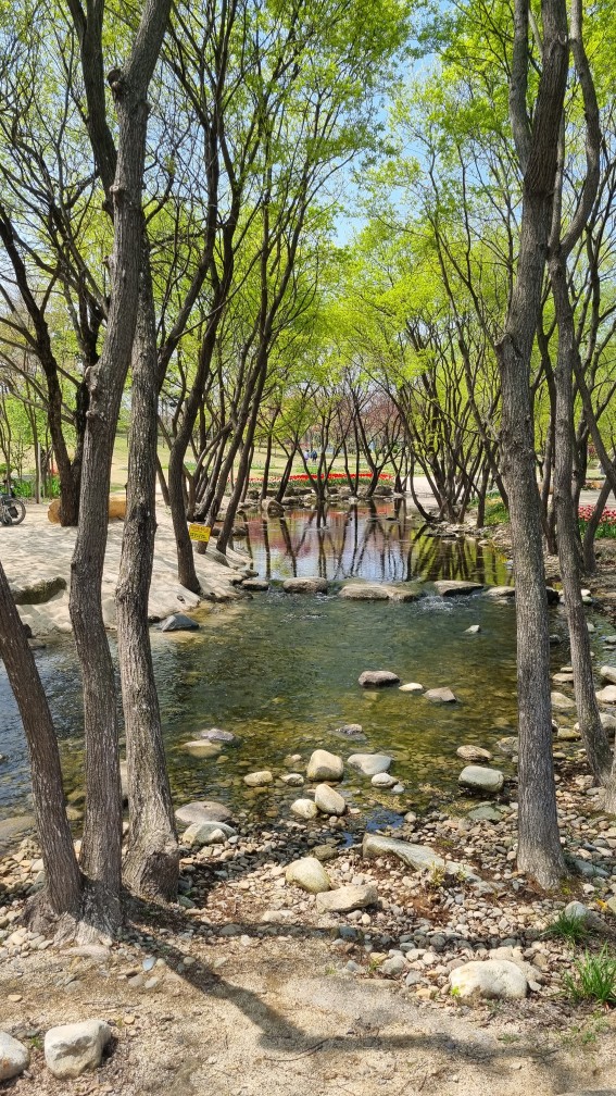 순천만 국가정원 동문 관람 코스 (24년4월10일 기준 사진)