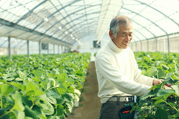 2025 손해평가사 전망