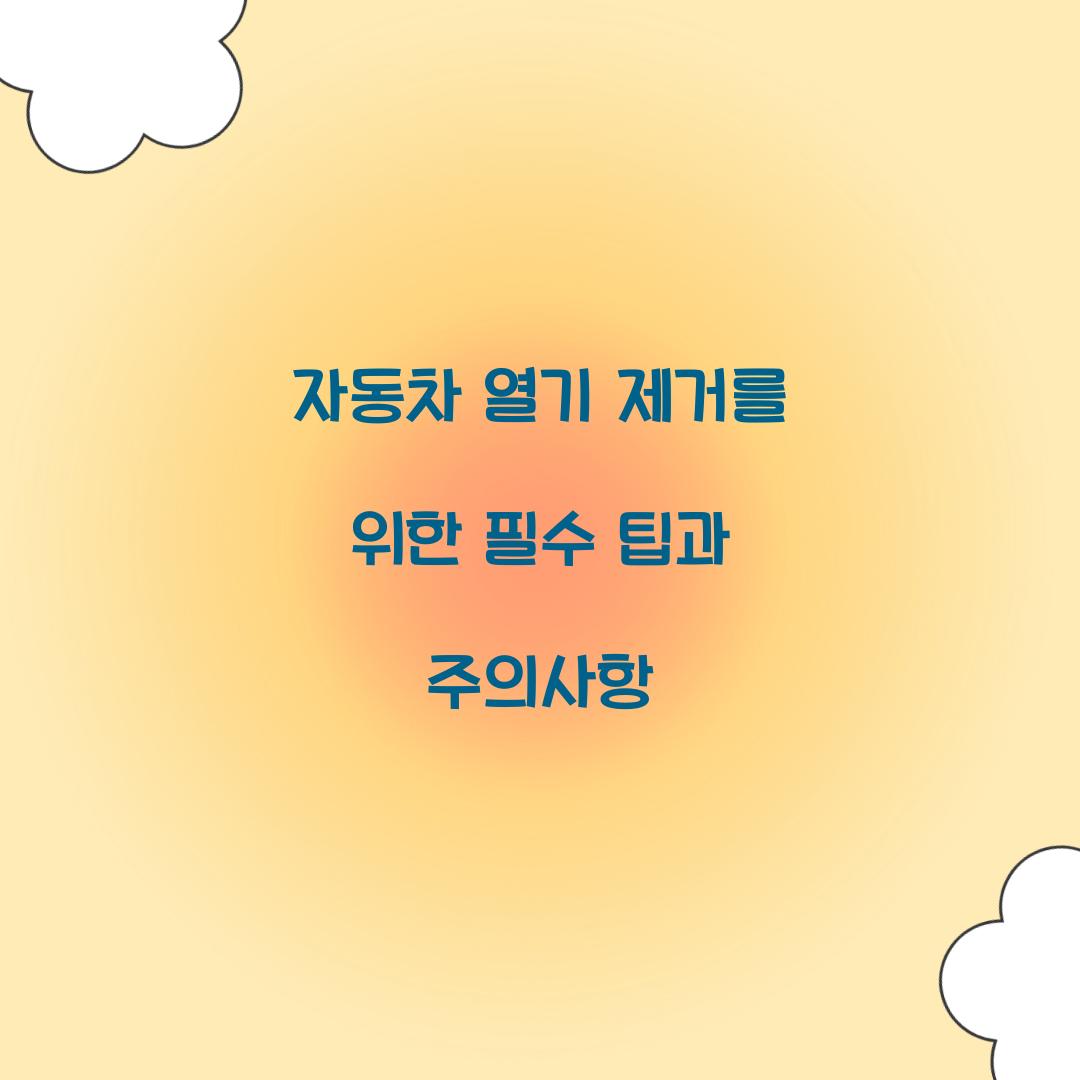 자동차 열기 제거