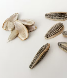 콜레스테롤 낮추는 방법 음식 과일