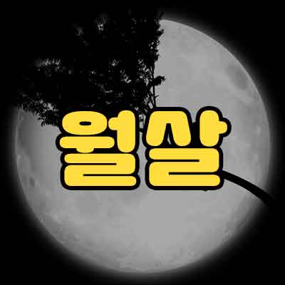 월살