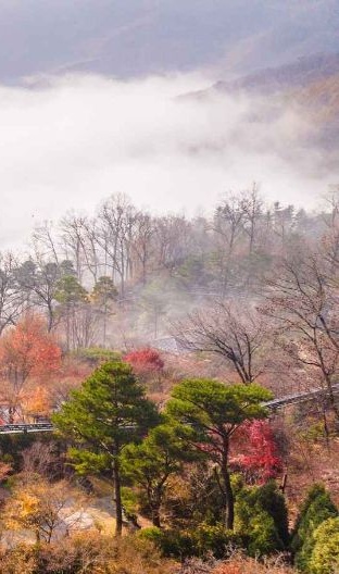 화담숲 예약 방법부터 운영시간까지! 방문 전 꼭 알아야 할 정보