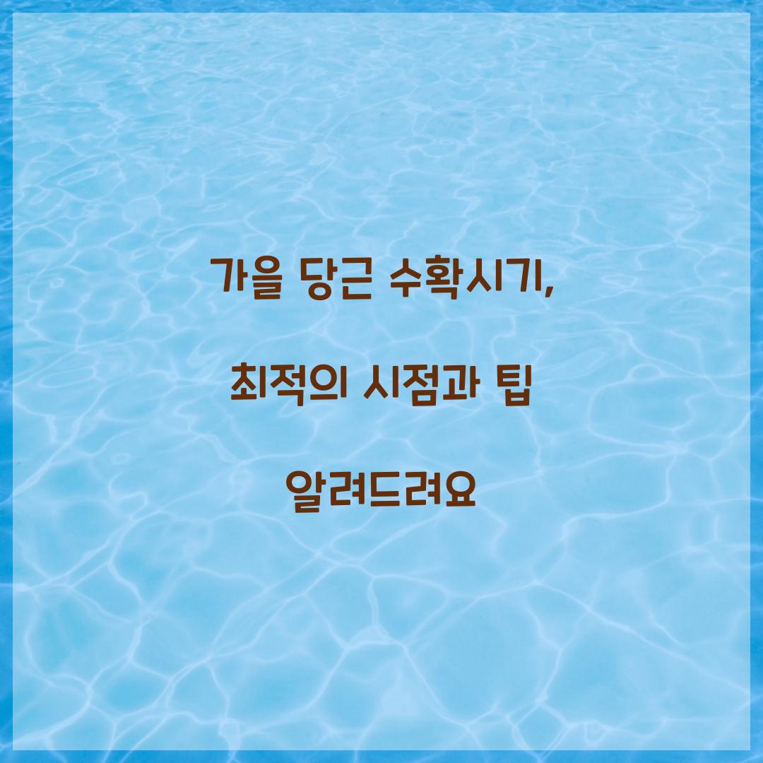 ๊ฐ์ ๋น๊ทผ ์ํ์๊ธฐ