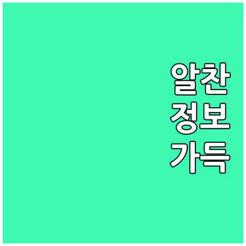 2025 국제심판 자격 취득 교육 항..