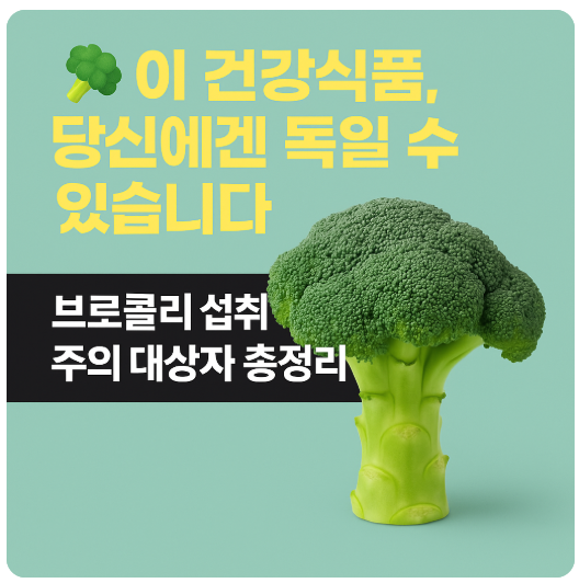 브로콜리 섭취 주의 대상자 총정리