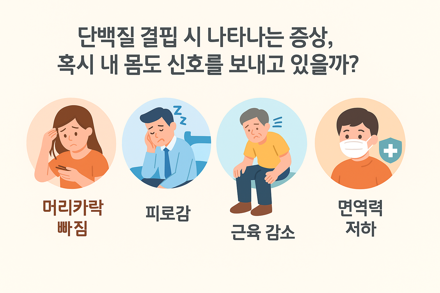 단백질의 주요 기능을 보여주는 인포그래픽 이미지