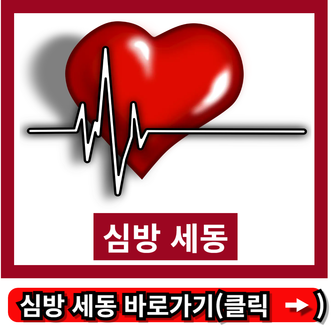 심방 세동