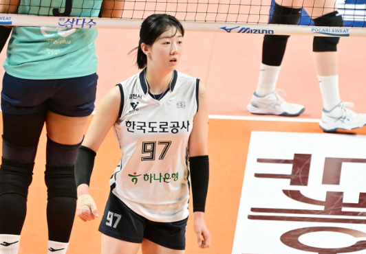 AVC컵 여자배구