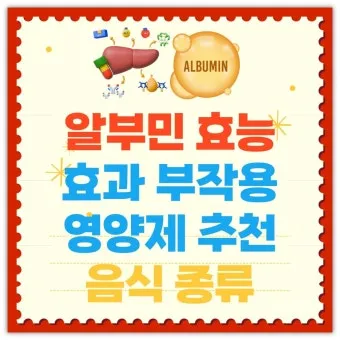 알부민의 효능_23