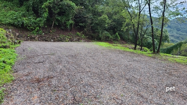 경기-연천-숲속의쉼터-캠핑장-예약-방법-애견-동반-가격-주소-시간-후기