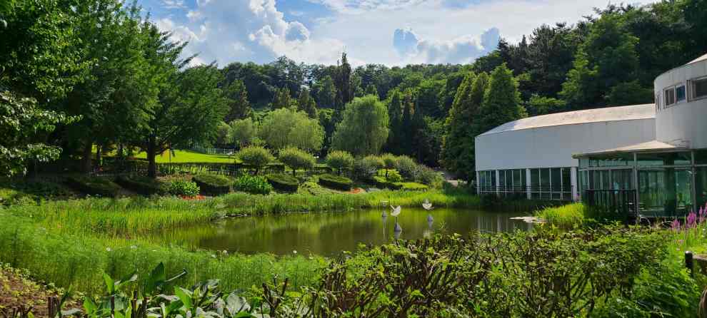 피나클랜드 튤립 수선화 축제