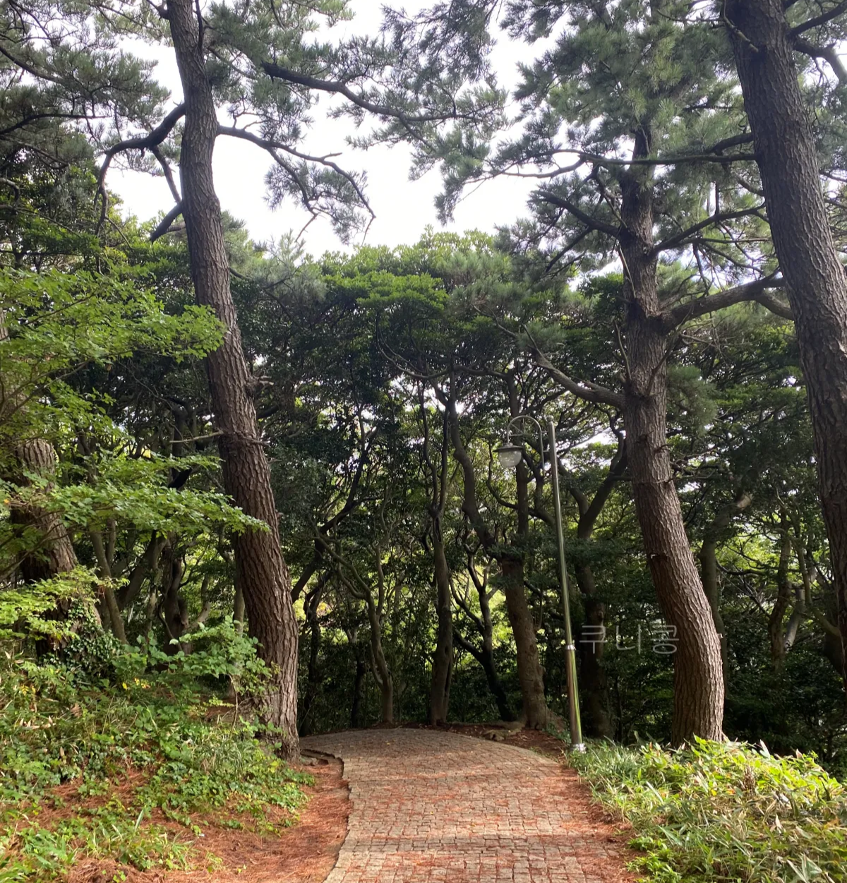 울릉도-추석가족여행-1일차-모노레일-입장료-할인,-해안산책로,-대풍감-풍경까지