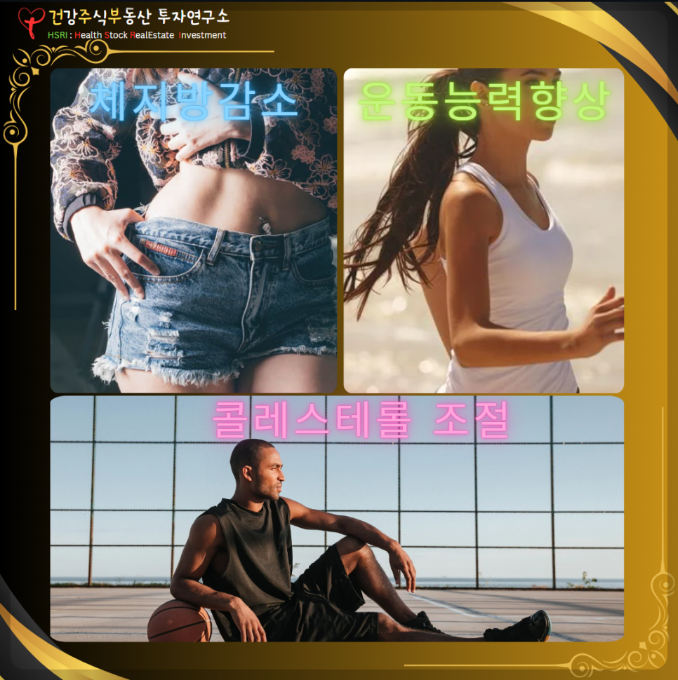 체지방 감소, 운동능력 향상, 콜레스테롤 조절
(글 그림 : 건주부, 그림 출처 : Canva)